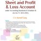 Company Balance Sheet 2025
