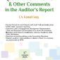 Qualifications & Other Comments in the Auditor’s Report