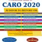 Professional Guide to CARO 2020
