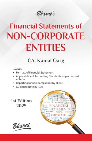 Combo: Financial Statements+Company Balance Sheet+Red Flags+Qualifications+Statutory Audit+CARO+Audit Trail+Peer Review - Image 6
