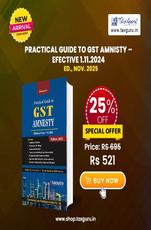 Practical Guide to GST Amnesty - Efective 1.11.2024